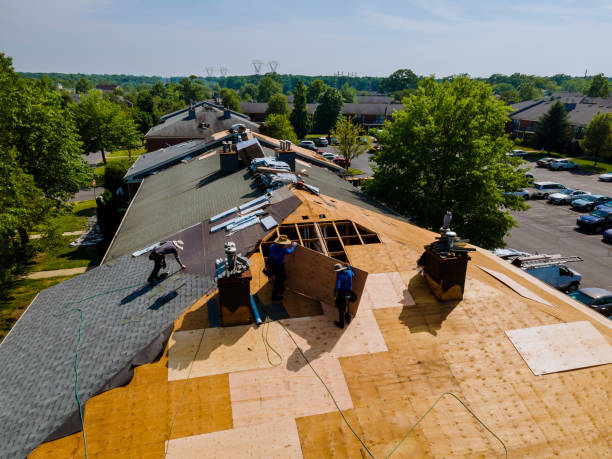 Best Flat Roof Repair Services  in Oronoco, MN