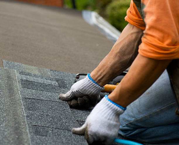 Best Roof Gutter Cleaning  in Oronoco, MN