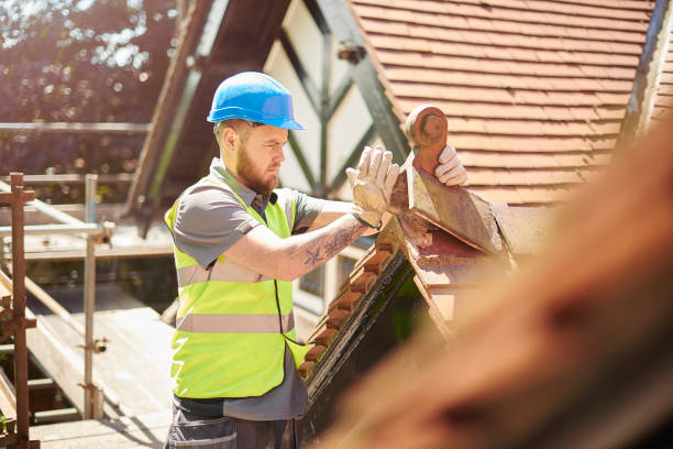 Roof Waterproofing Services in Oronoco, MN